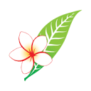 老挝航空